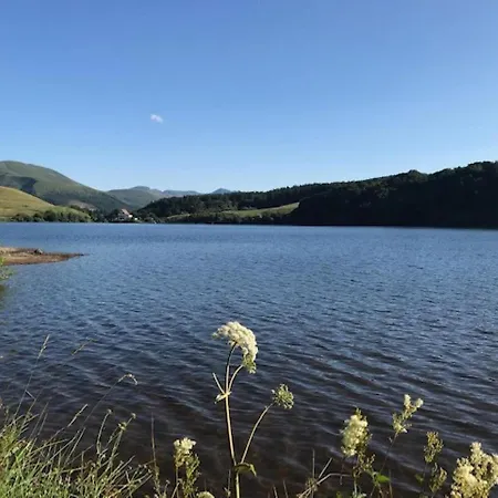 Magnifique T2 Avec Wifi En Centre, 1 Chambre, 3 Etoiles - Fr-1-608-85 Апартаменты Ле-Мон-Дор