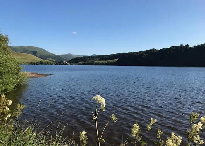 Magnifique T2 Avec Wifi En Centre, 1 Chambre, 3 Etoiles - Fr-1-608-85 Апартаменты Ле-Мон-Дор